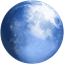 Pale Moon icon