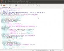 Screenshot of XML report generated with Save command