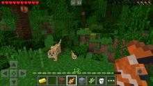 A Jungle in Minecraft