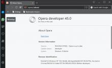 Opera Developer 45.0